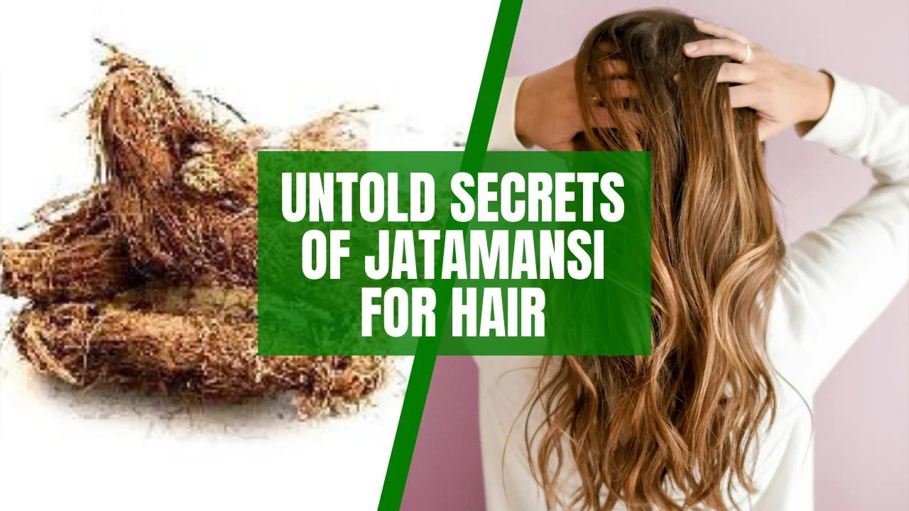 Untold Secrets of Jatamansi for Hair 1 Untold Secrets of Jatamansi for Hair Dera Naturals Hair oil
